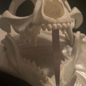 Skulldog